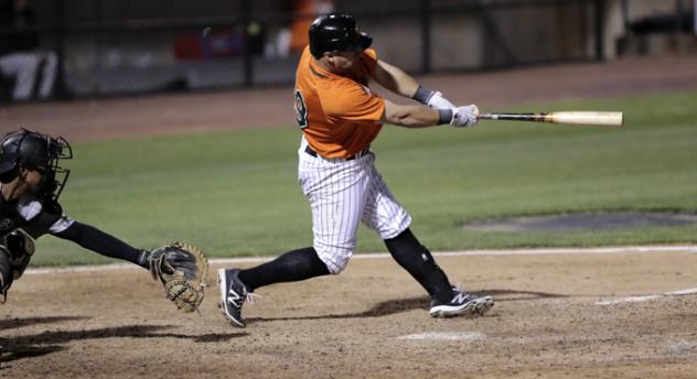 Mike Dowd of the Long Island Ducks