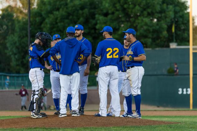 Sioux Falls Canaries Congregate on the Mound
