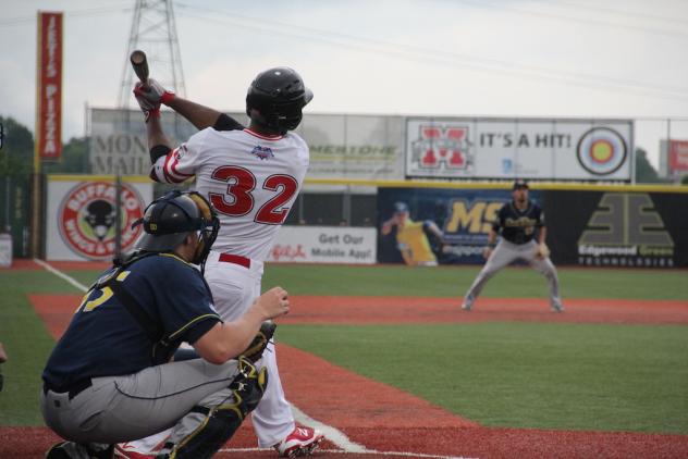 Andrew Godbold of the Florence Freedom