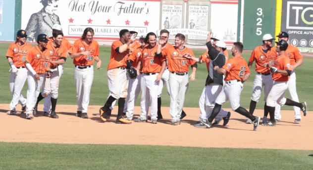 Long Island Ducks Celebrate Walk-Off Win