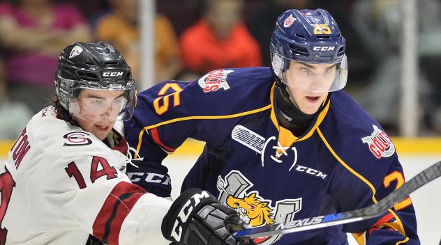 Julius Nattinen with the Barrie Colts