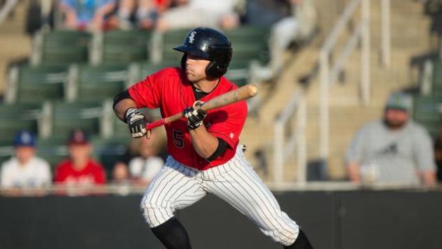 Kannapolis Intimidators OF Tyler Sullivan Prepares to Lay Down a Bunt