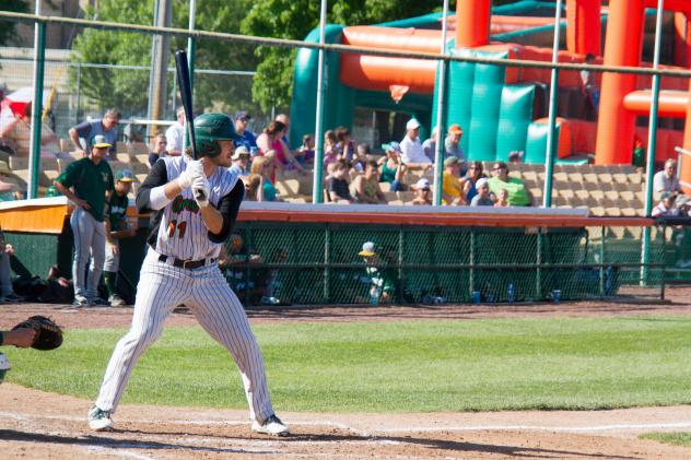 Hill Alexander of the Green Bay Bullfrogs