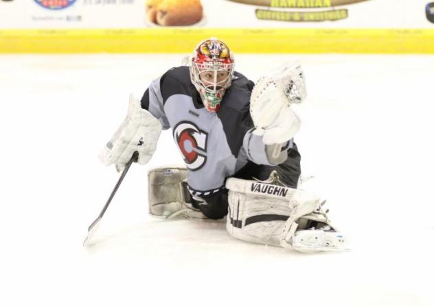 Jackals Sign Cornell Product Andy Iles