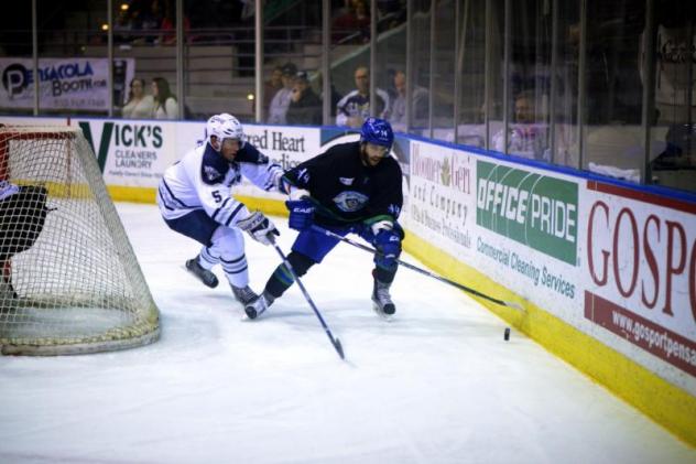 Forward Belisle Joins the Ice Flyers