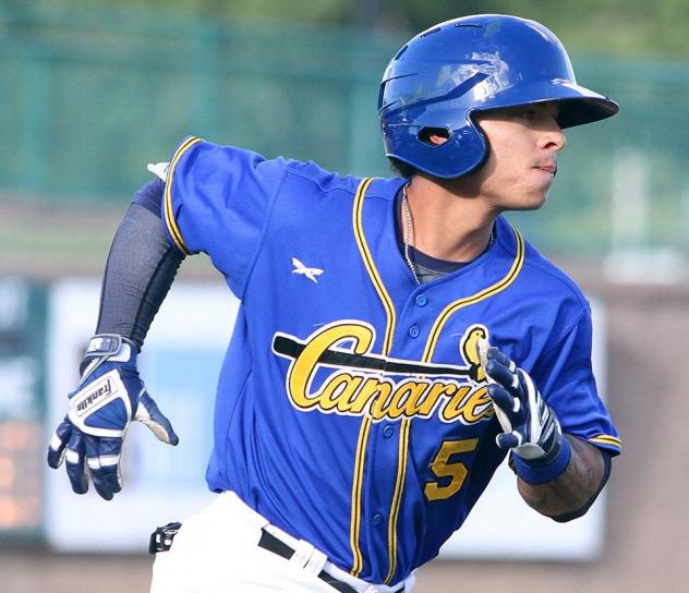Saltdogs Pound out 19 Hits, Rout Canaries 13-5