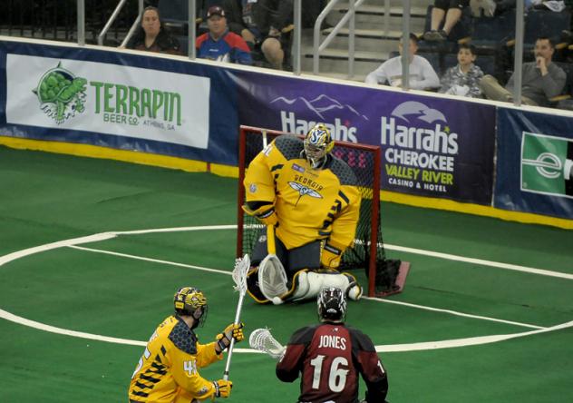 Georgia Swarm Re-Sign Brodie Macdonald, Reid Acton