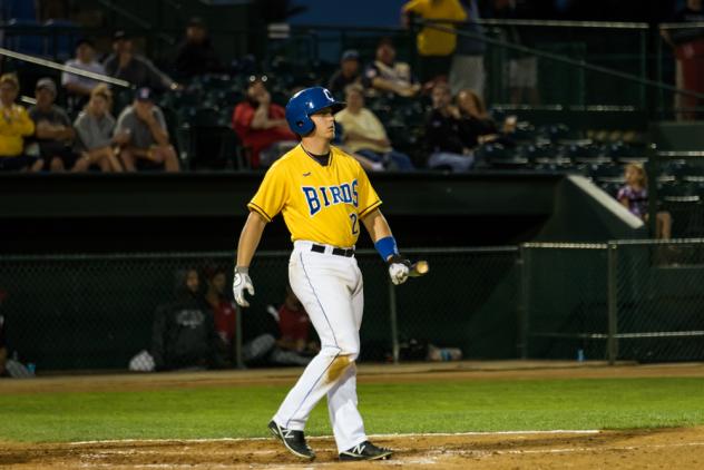 : Canaries Outlast Explorers in 12-8 Slugfest