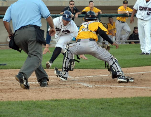 Bees Rally Late for 11-9 Win over Patriots