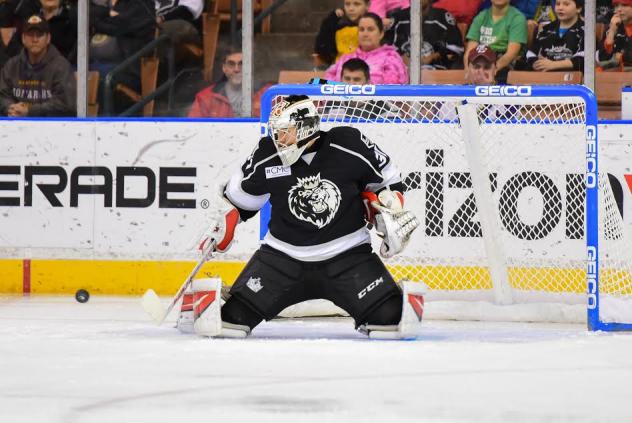 Nailers Sign Doug Carr