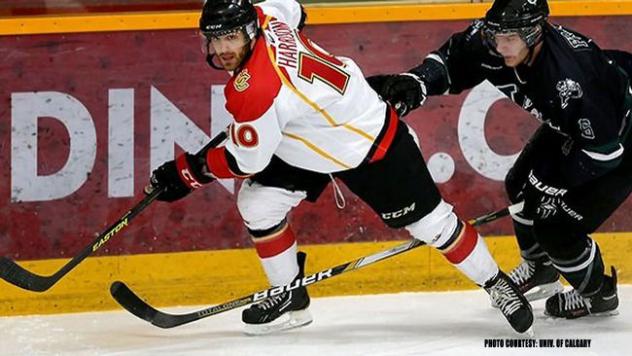 Eagles Add Grit, Scoring with Forward Ryan Harrison
