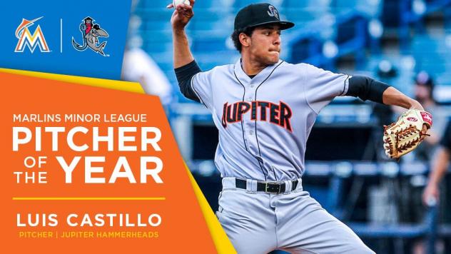 Luis Castillo and Brian Anderson Take Home 2016 Honors