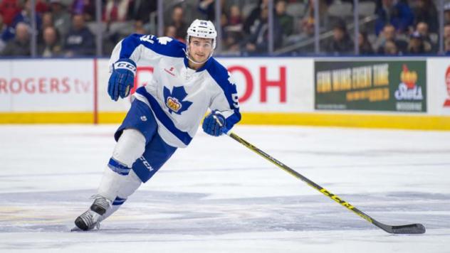 Four Additions Made to Solar Bears Training Camp Roster