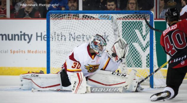 Indy's Hildebrand Named CCM Goaltender of the Week