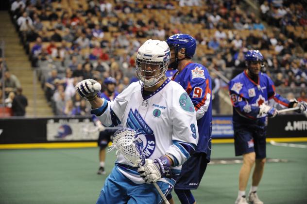 Knighthawks Appreciate Point's Years of Service