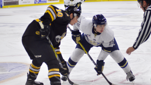 Stampede Come up Short against Green Bay