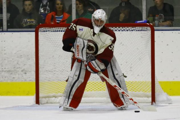 Storm Adds Goaltender Eric Dop from NAHL