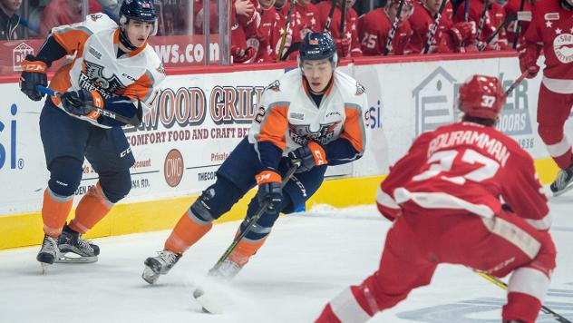 Firebirds' Rally Comes Short in Greyhounds' Victory Saturday Night