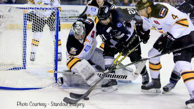 STEELHEADS: Steelheads Weekly Report: November 7