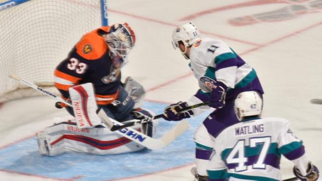 Solar Bears Newsletter Presented by Fairwinds Credit Union