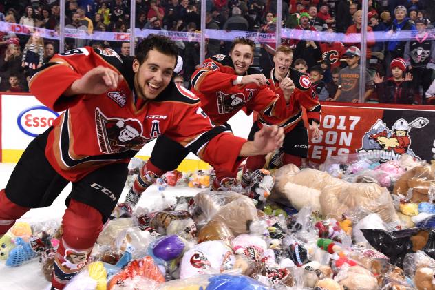 Hitmen Fans Toss 23,924 Plush Toys at the Brick Teddy Bear Toss 2016