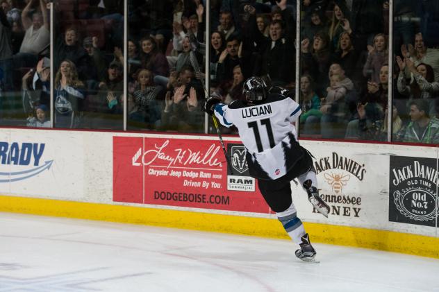 Steel Sweep over Americans- Steelheads Extend Unbeaten Streak to Seven Games