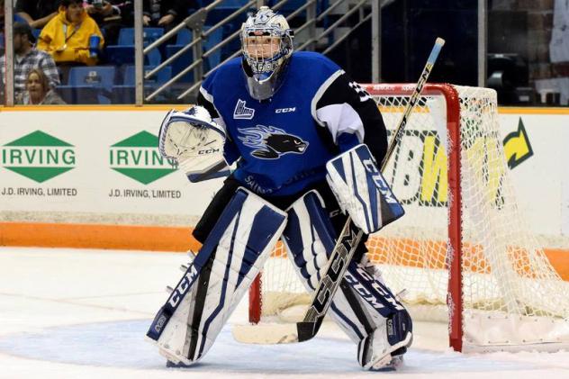Sea Dogs Tame Wildcats for League-Leading 20th Win