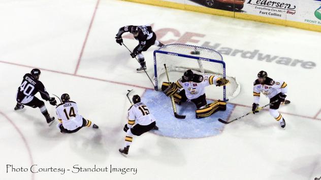 Steelheads' Surge Falls Short in Colorado