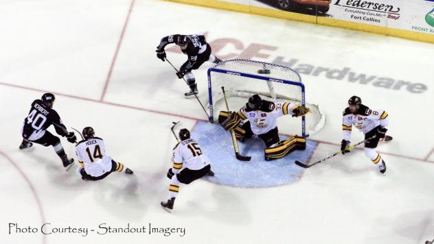 Steelheads' Surge Falls Short in Colorado