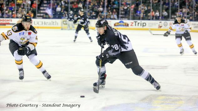 Late Goal Pushes Eagles Past Steelheads