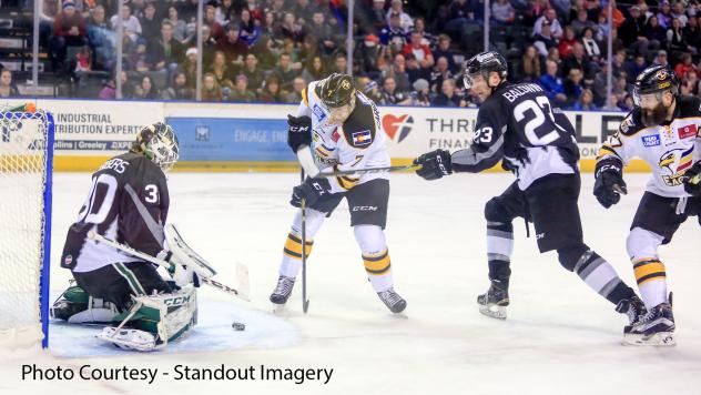 Eagles Top Steelheads in Shootout