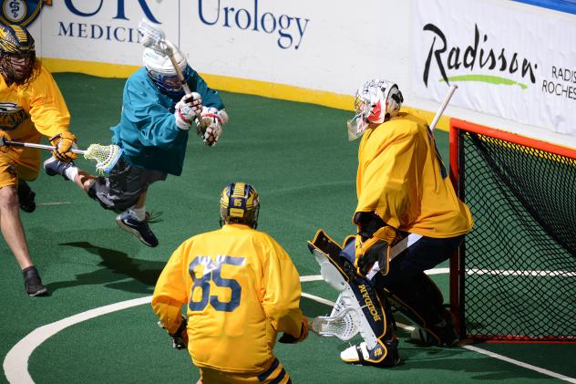 Knighthawks Swat the Swarm, 17-15
