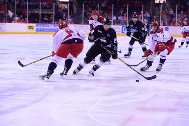 Gill, Americans Shutout Steelheads