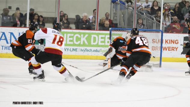 Colorado Adds Forward Michael Colantone to Roster