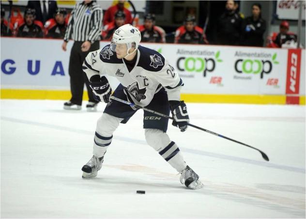 Sea Dogs Acquire Rimouski Captain Simon Bourque