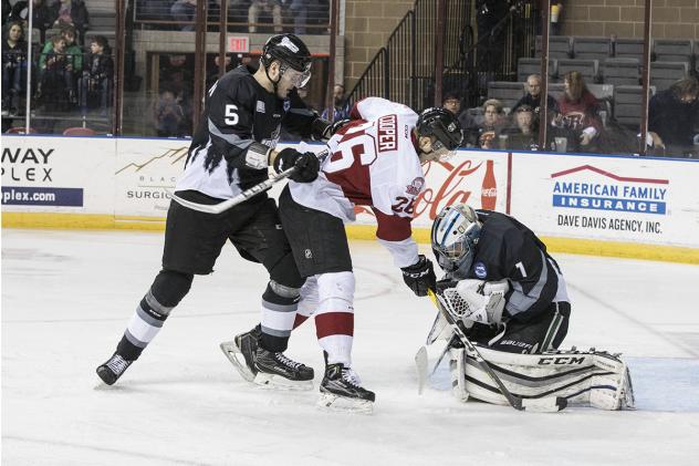 Steelheads Quiet the Rush - Komm Stops 47 Shots for First Shutout as a Steelhead
