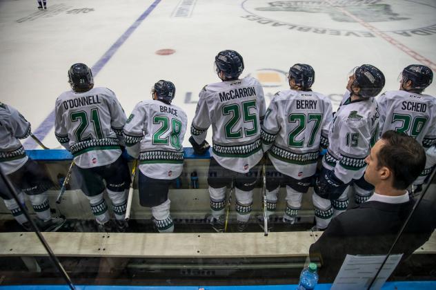 Brad Ralph Named as a Coach for CCM ECHL All-Star Classic