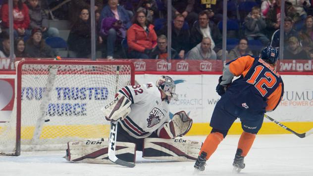 Firebirds Score Seven in Saturday Victory vs. Guelph