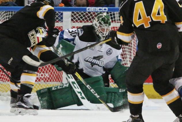 osie Robbery - Steelheads Top Eagles Behind Desrosiers' 52 Saves