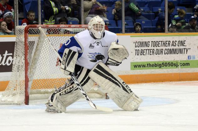 Sea Dogs Recall G Matt Williams