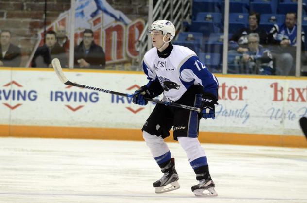 Sea Dogs Blank Screaming Eagles Forseventh Win In A Row