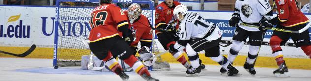 Thunder Scoring Avalanche Buries Monarchs, 10-4