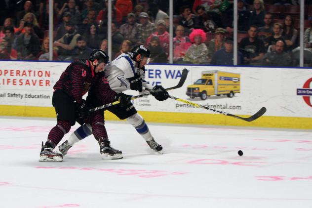 Steelheads Bear Down on Grizzlies in Shootout