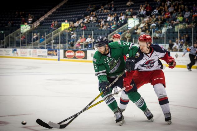 Everblades Tamed by Jackals in 3-1 Loss