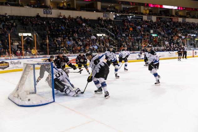Tansey's Two Power Mavs Past Steelheads