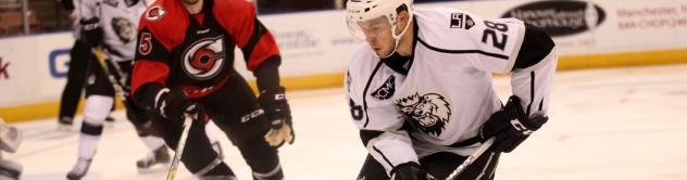 Quentin Shore Returns to Monarchs