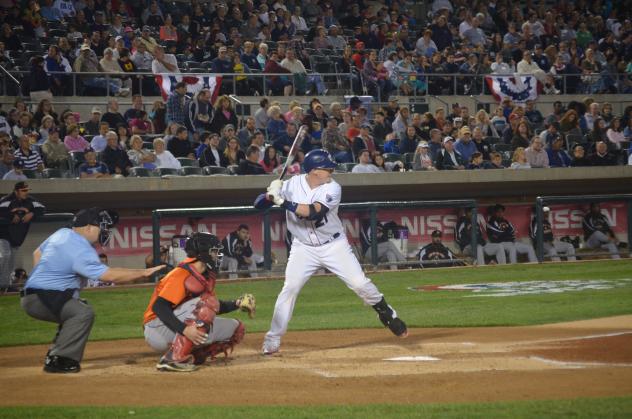 Somerset Patriots Bring Back Four-Year Catcher Adam Donachie in Player/Coach Role