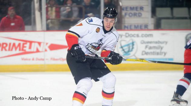 Adirondack's Falkovsky Named CCM ECHL Rookie of the Month