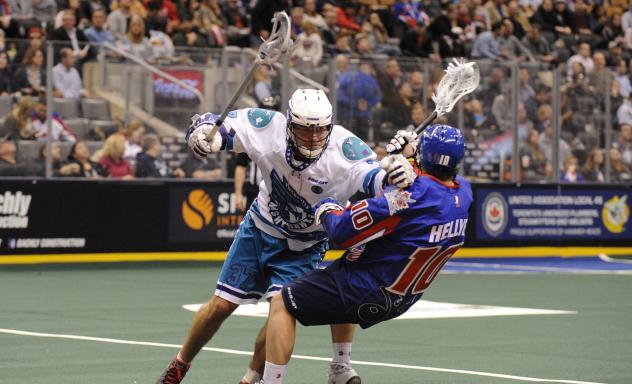 Knighthawks Activate Scott Campbell