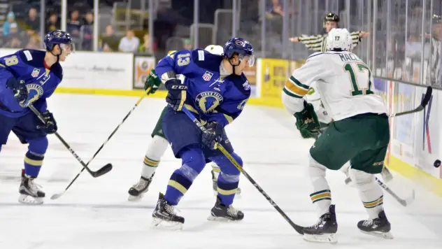 Swayman, Stampede Hold off Sioux City on Home Ice